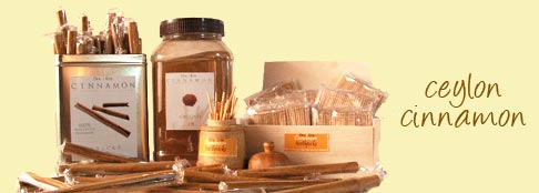 Easy Cinnamon Roll Recipe