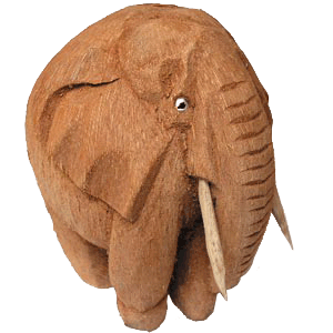 Coconut Oil Benefits