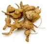 Verbenaceae