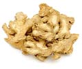 Ginger