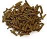 Long Pepper